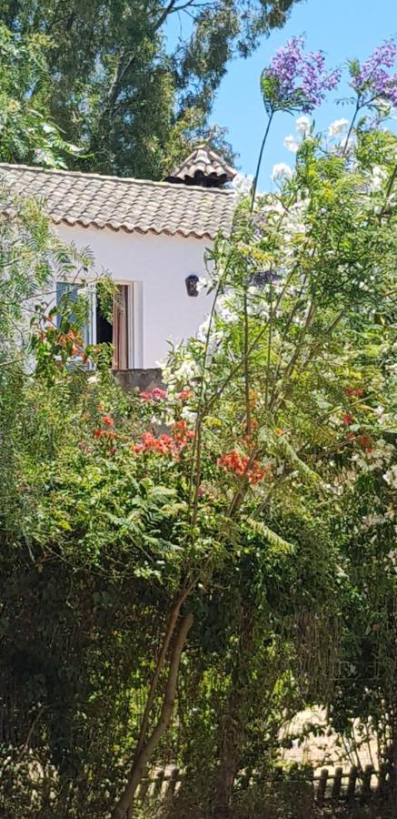 Casa El Soto Villa Vejer de la Frontera Exterior foto